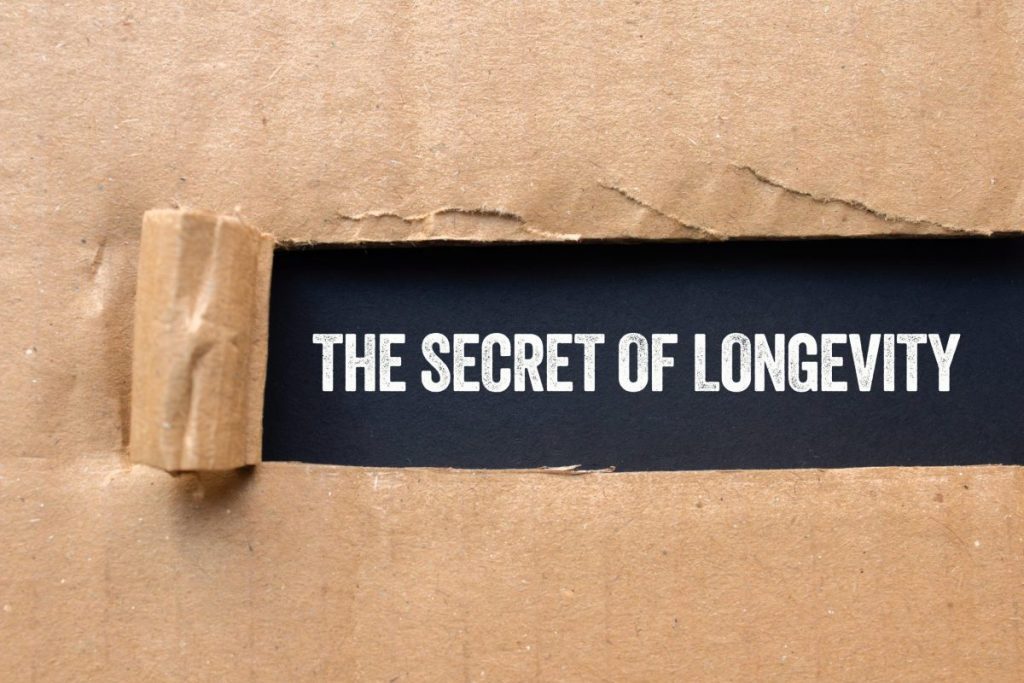 envejecimiento saludable mujeres