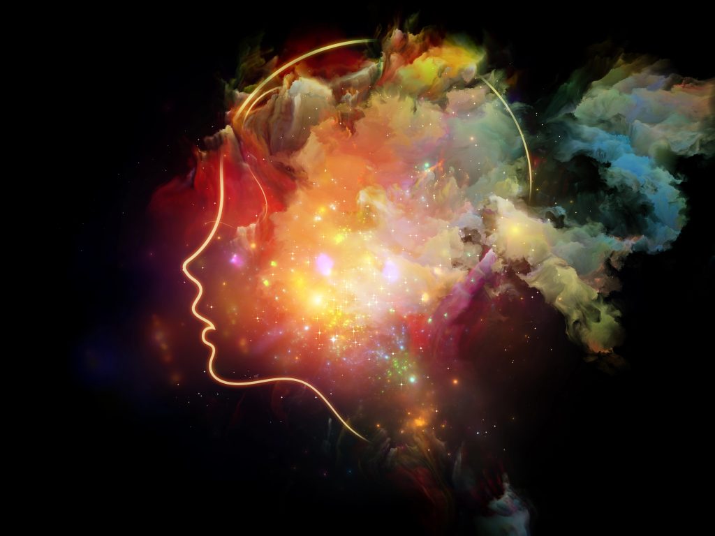 embarazo y cerebro