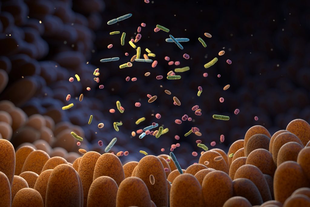 microbiota y hormonas